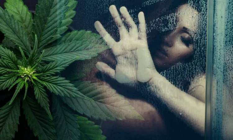 Les dones que usen marihuana tenen millors orgasmes i major excitació