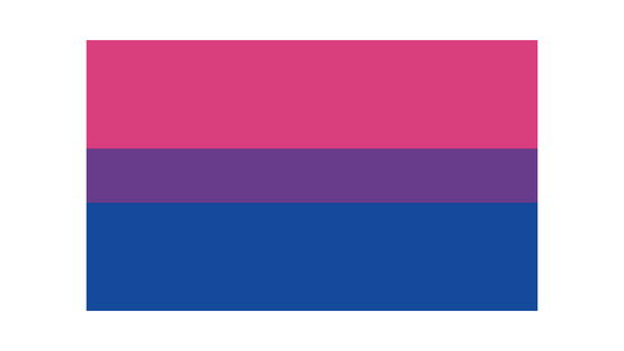 #23Setembre:  Dia de la Visibilitat Bisexual